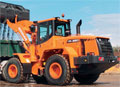 Doosan DL250