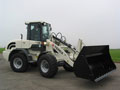 Terex TL 120